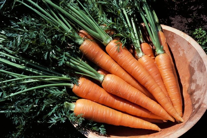 6 Interesting Carrot Facts Worth Knowing