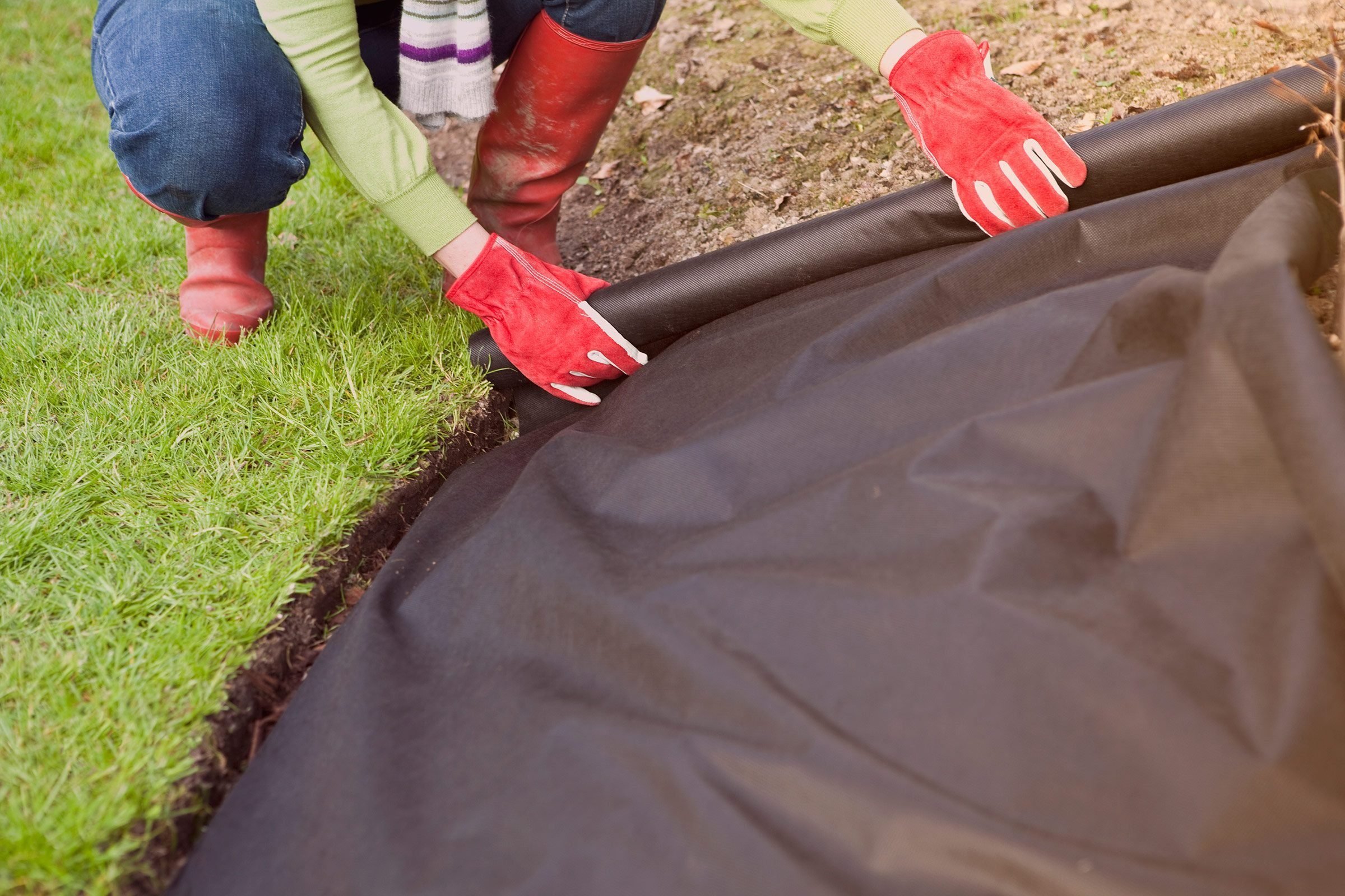 19 Things Your Landscaper Won’t Tell You