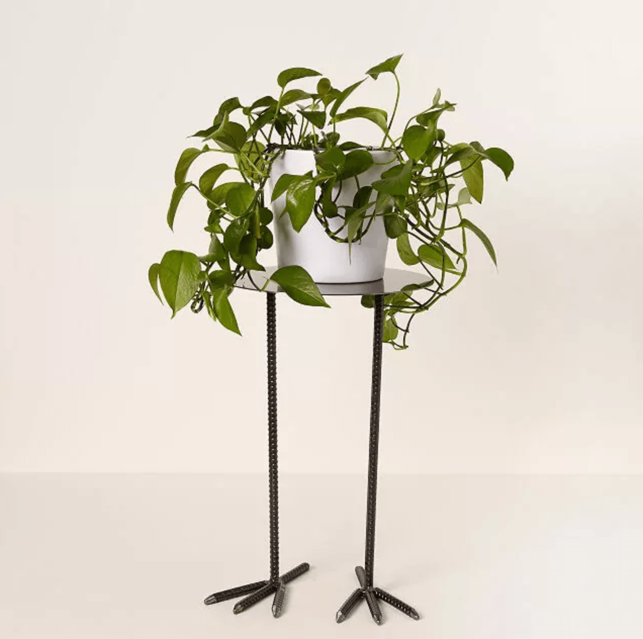 15 Indoor Plant Stand Options for Every Houseplant Birds and Blooms