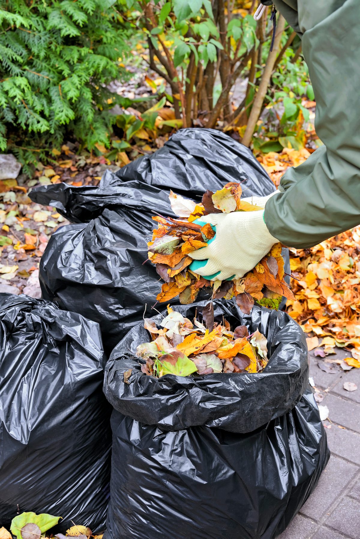 Stop Raking: How to Mulch Fall Leaves - Birds and Blooms