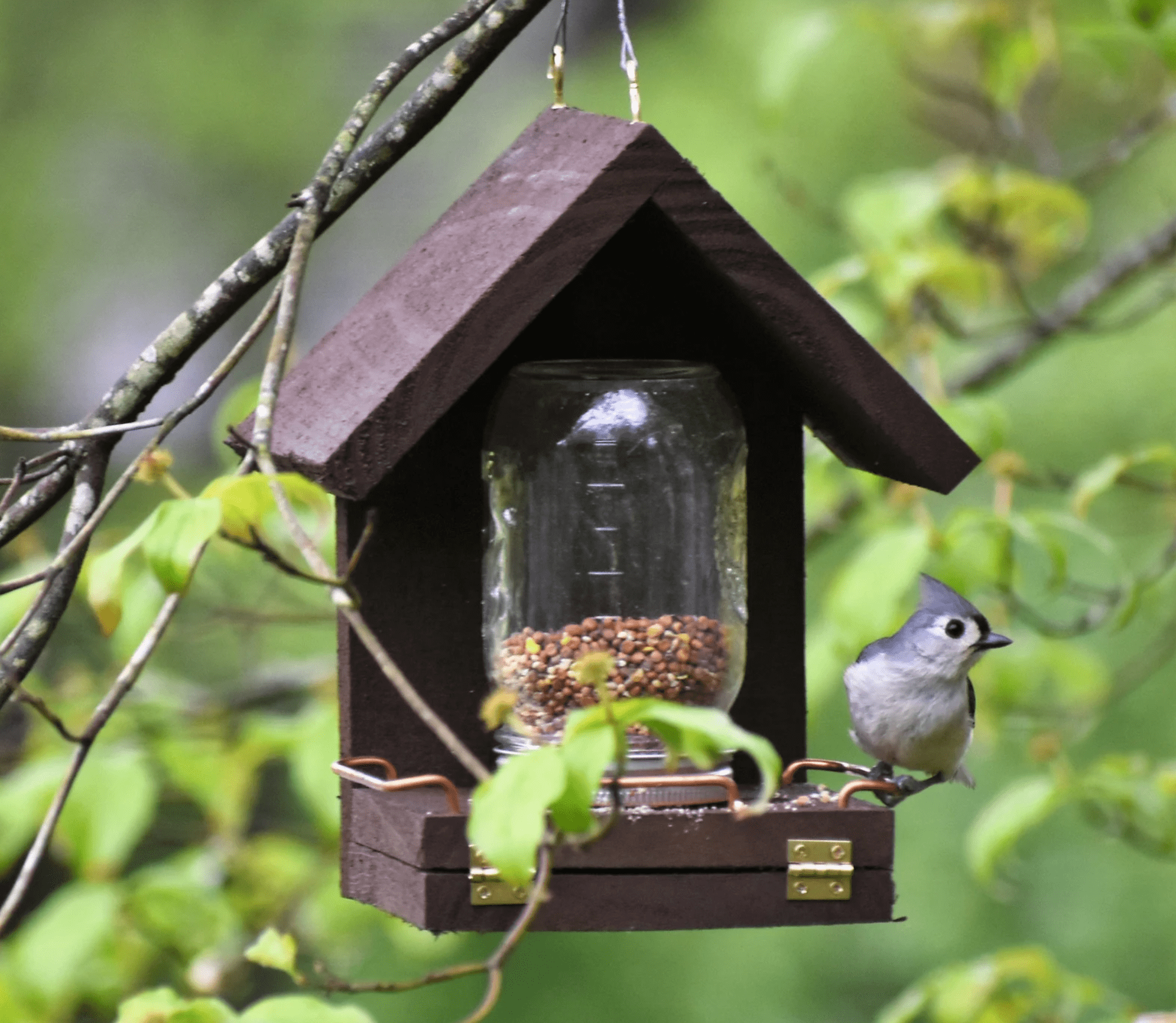 11 Wooden Bird Feeders That Will Attract a Flock