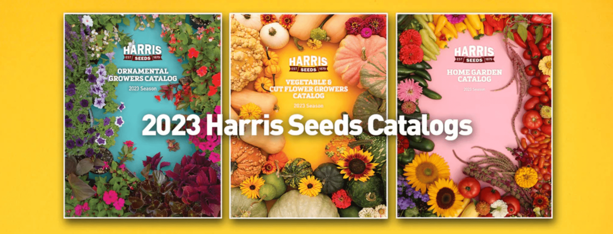 10 Seed Catalogs Every Gardener Needs Flower and Vegetable Catalogs