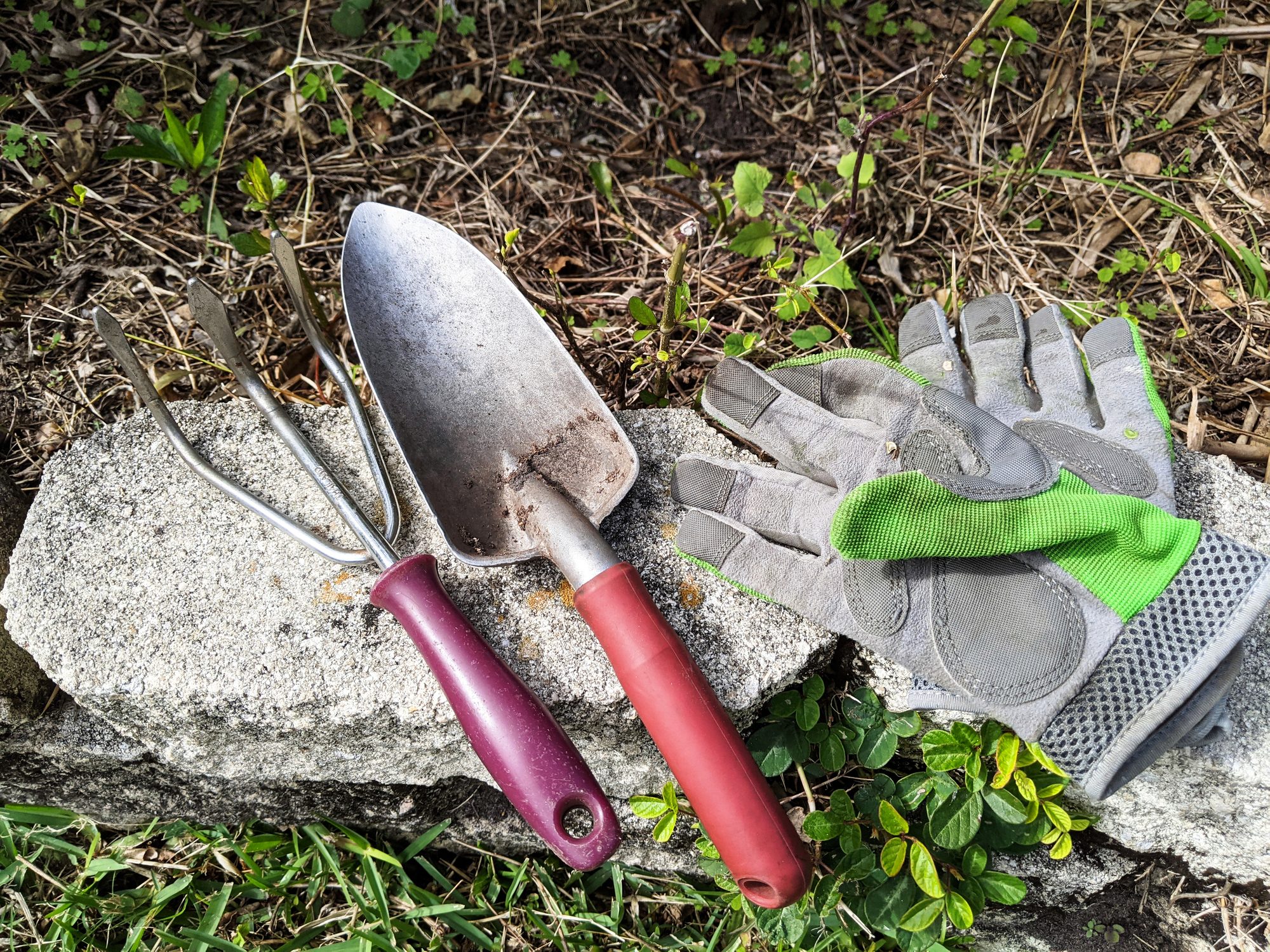 Get Organized with Top Garden Tool Storage Ideas