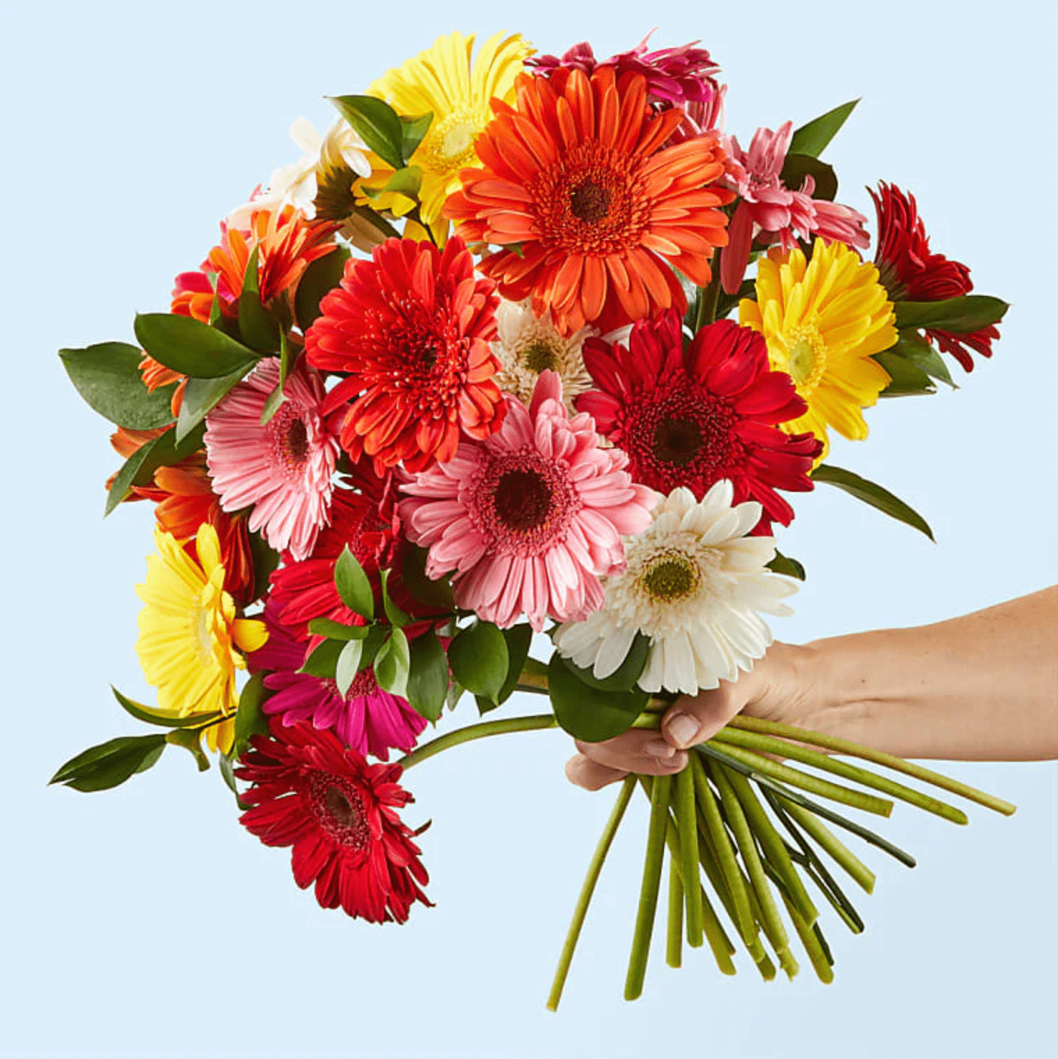 The Best Flower (and Plant) Delivery Services for Mother's Day
