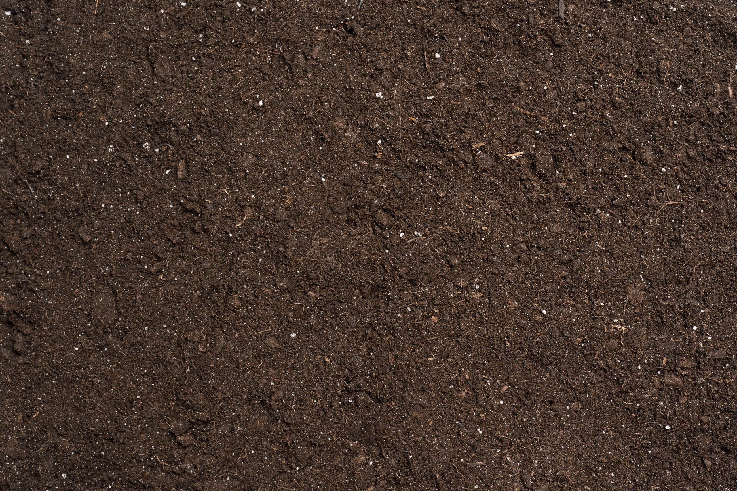 This Is What the Color of Your Garden Soil Means