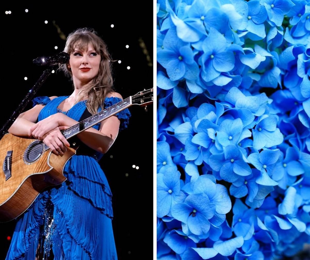 These Are Taylor Swift's Favorite Flowers (and How to Grow Them)