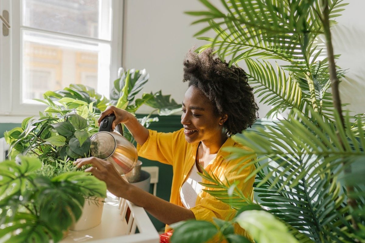 12 Indoor Plant Hacks You Need to Start Doing Right Now