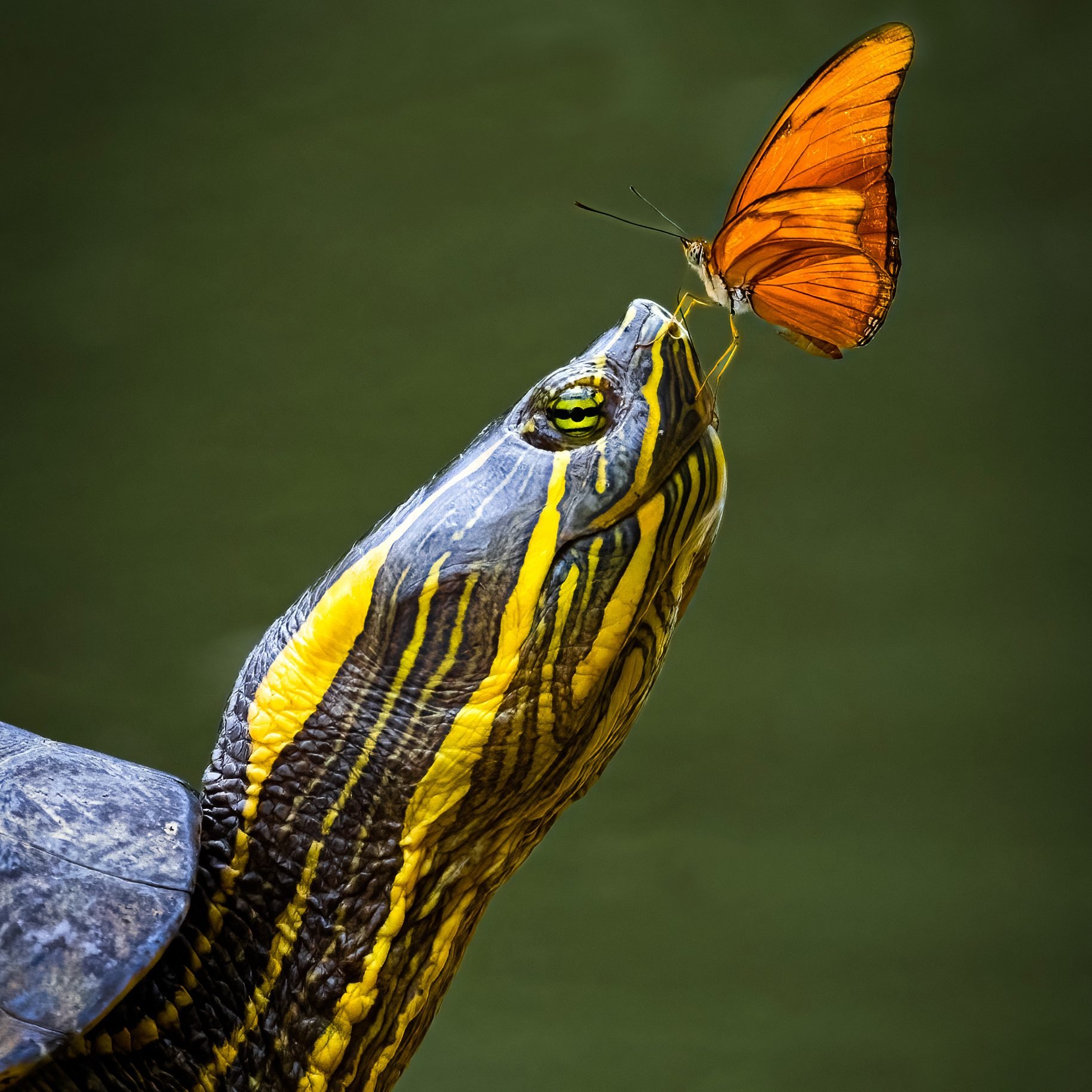 2023 Birds & Blooms Photo Contest Winner Birds and Blooms