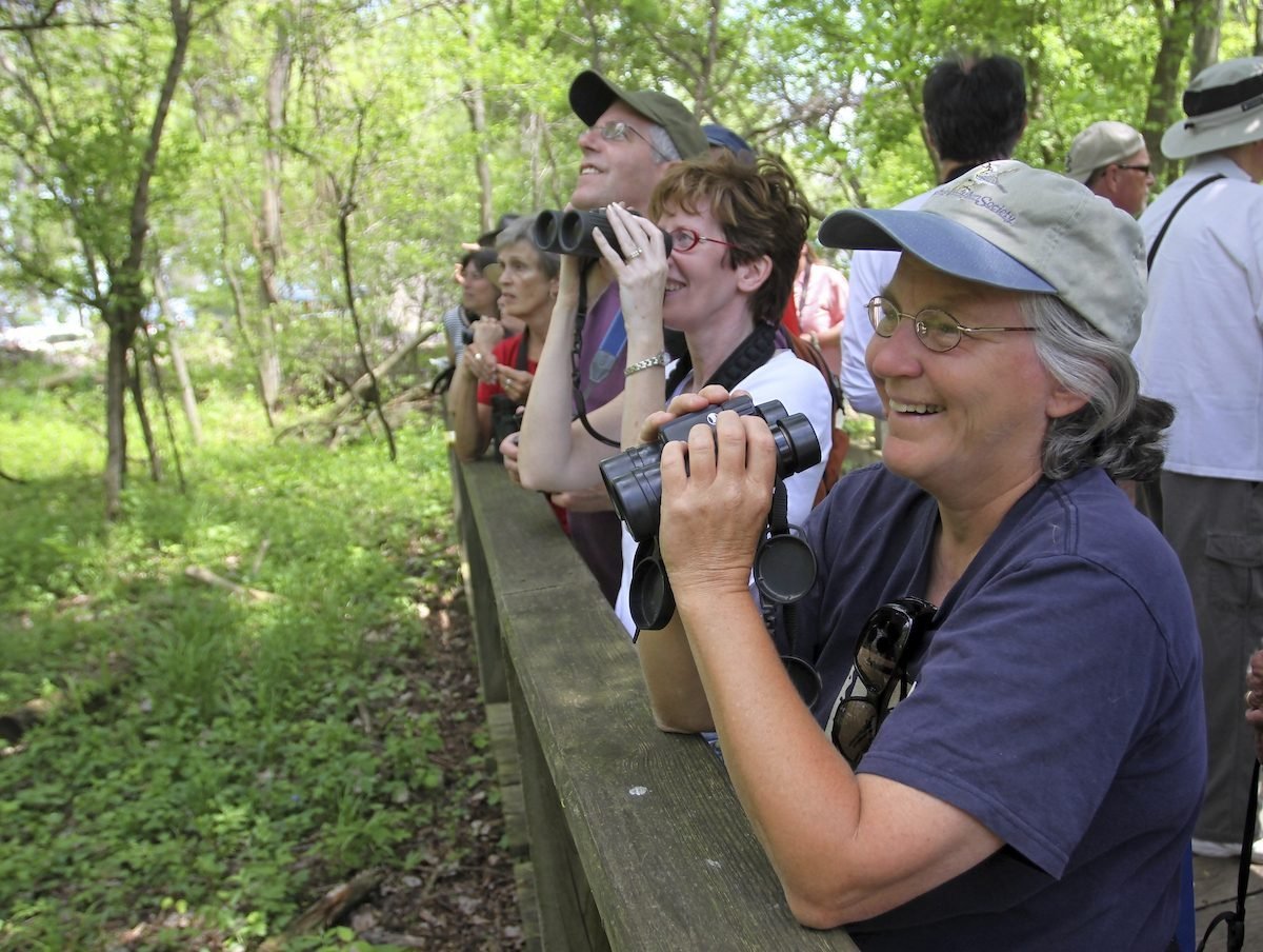 Birdwatchers Magee Marsh Wildlife Refuge Ohio Lake Erie Bird Watching Senior