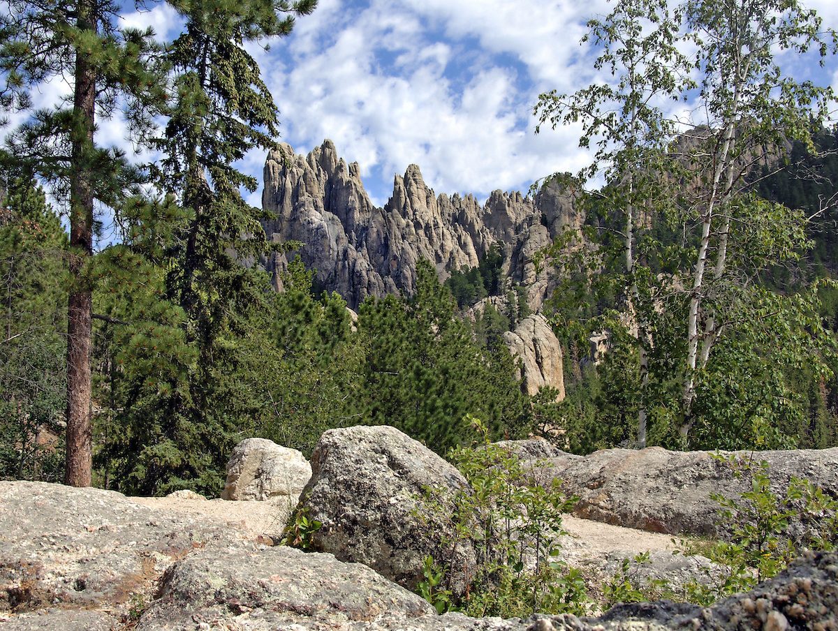 Granite Spires In The Black Hills Of South Dakota