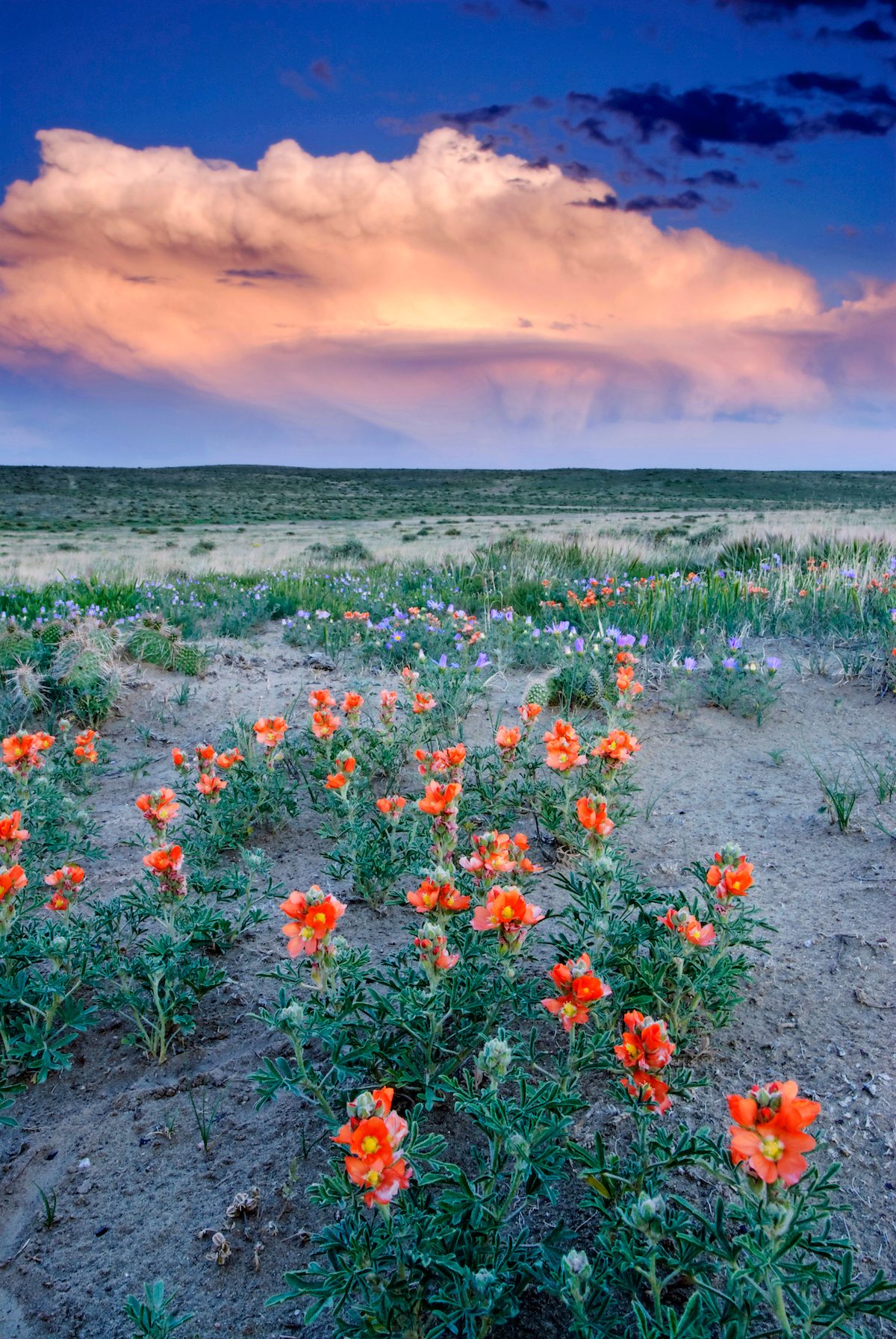 Storm On The Prairie