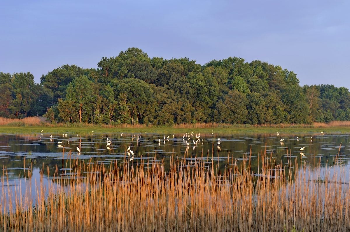 Bombay Hook National Wildlife Refuge