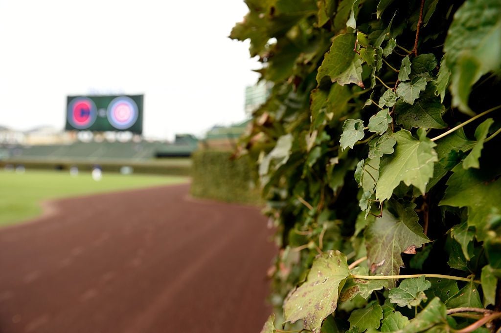 2016 World Series - Cleveland Indians v. Chicago Cubs: Workout Day